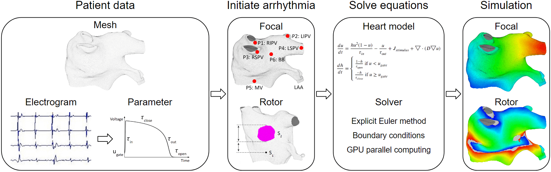 Heart modeling overview