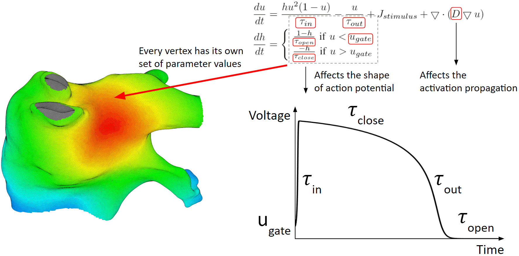 Patient-specific Heart Modeling for Arrhythmia Ablation